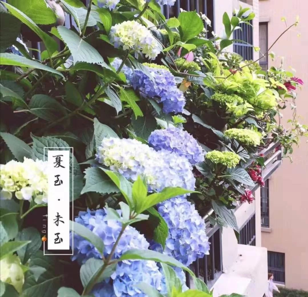 从0到团钩达人，我到底付出了多少努力