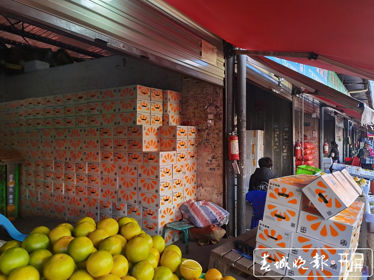 褚橙售卖期,褚橙最新发货消息