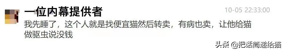 虐猫后良心发现加价“*养送**”？在日本领养流浪猫没你想的那么美好