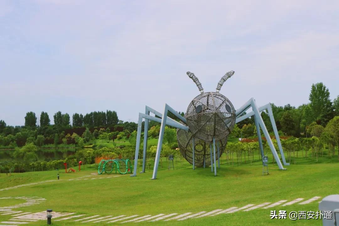 西安大草坪公园推荐,西安有大草坪的公园