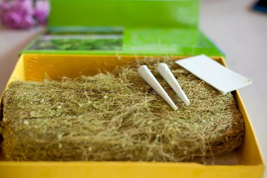 户撒佛祖的后花园现在怎么走,户撒为什么叫佛祖后花园