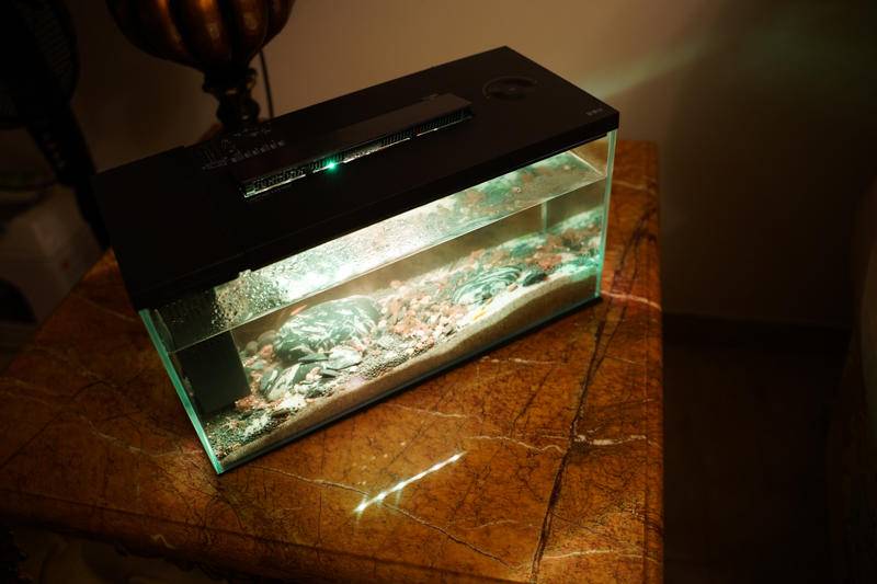 小佩起源纪鱼缸过滤怎么样,小佩起源纪鱼缸