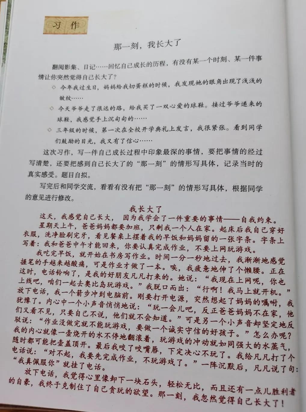 五年级下册语文第四单元笔记完整,牛奶爱面包五年级下册二单元笔记