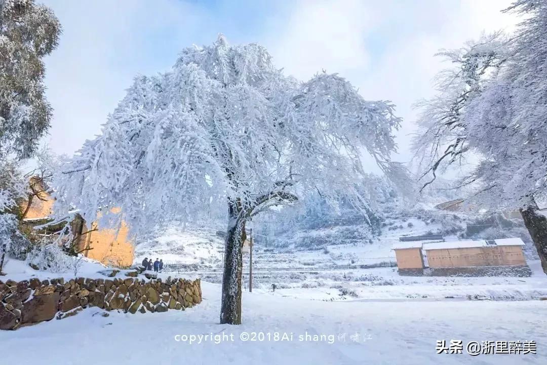 江南温泉第一,江南第一温泉