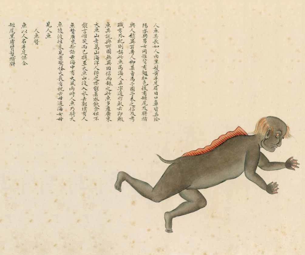 你以为人鱼都美的惊心动魄？那你是没有见过丑的！