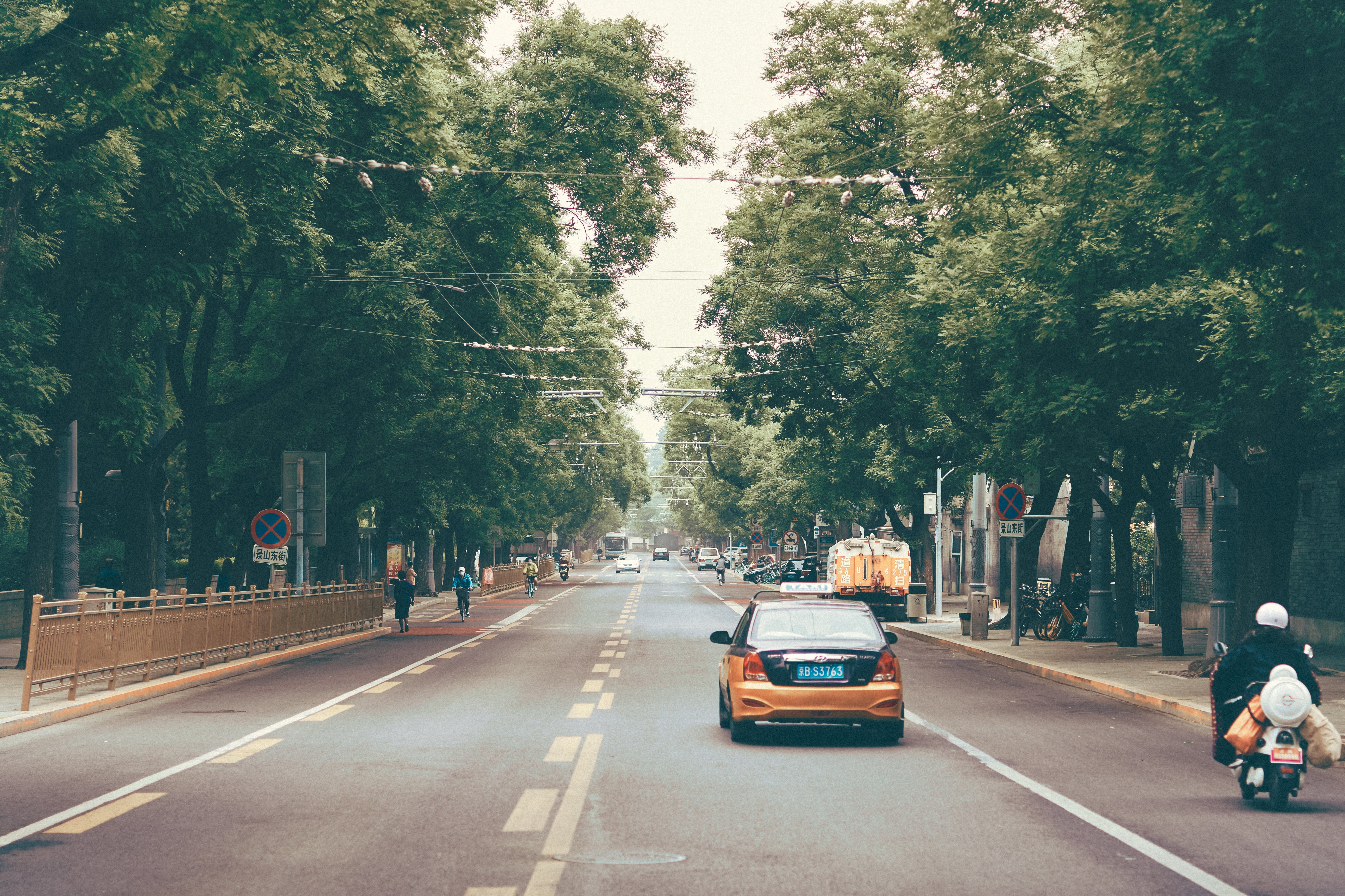 春季学车应注意什么,为什么现在是学车最好时机