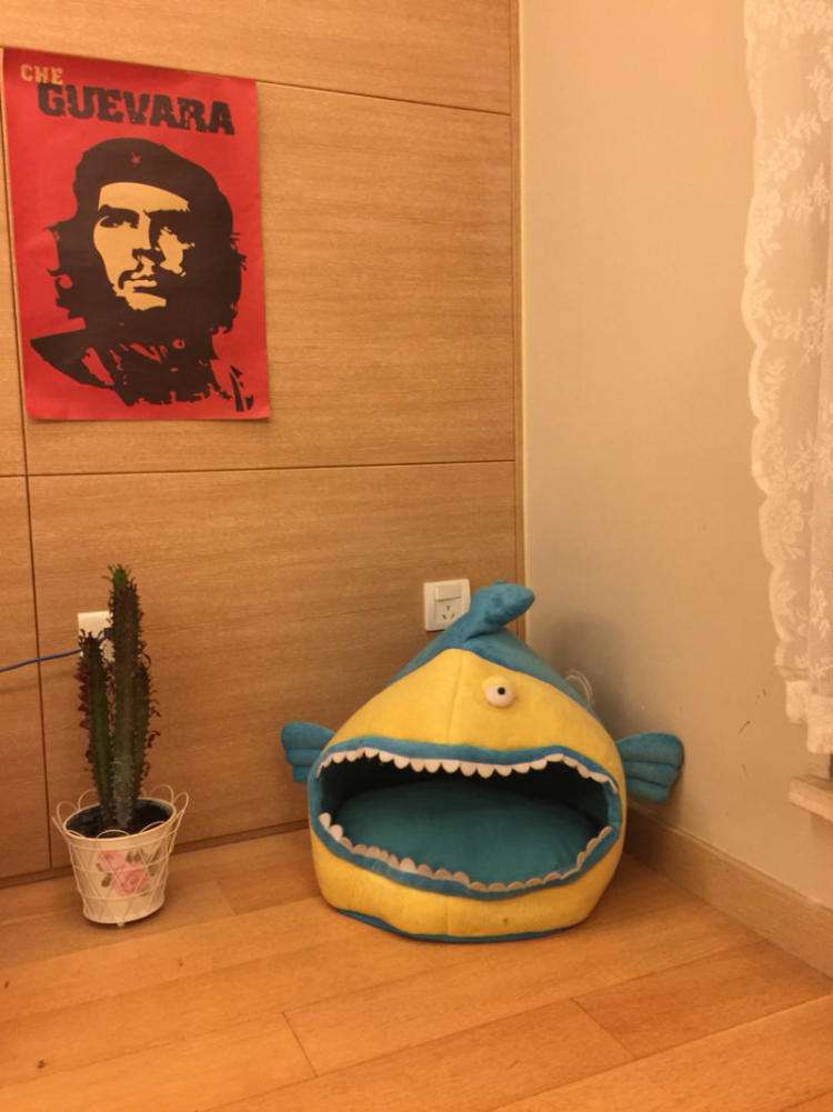 猫最好用什么猫窝,各种猫窝的视频大全