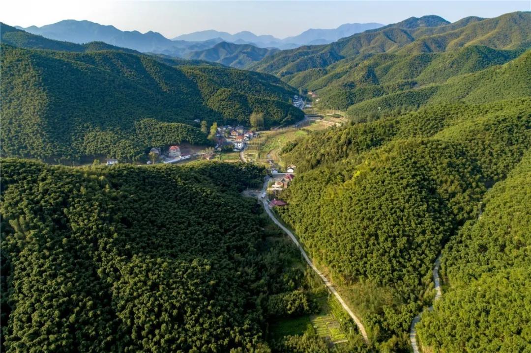 欢呼!余杭9条精品旅游线出炉!瓶窑、塘栖、中泰...太惊艳了!