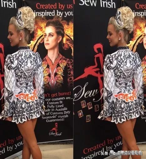 老鸟小鸟和爱尔兰舞——老鸟