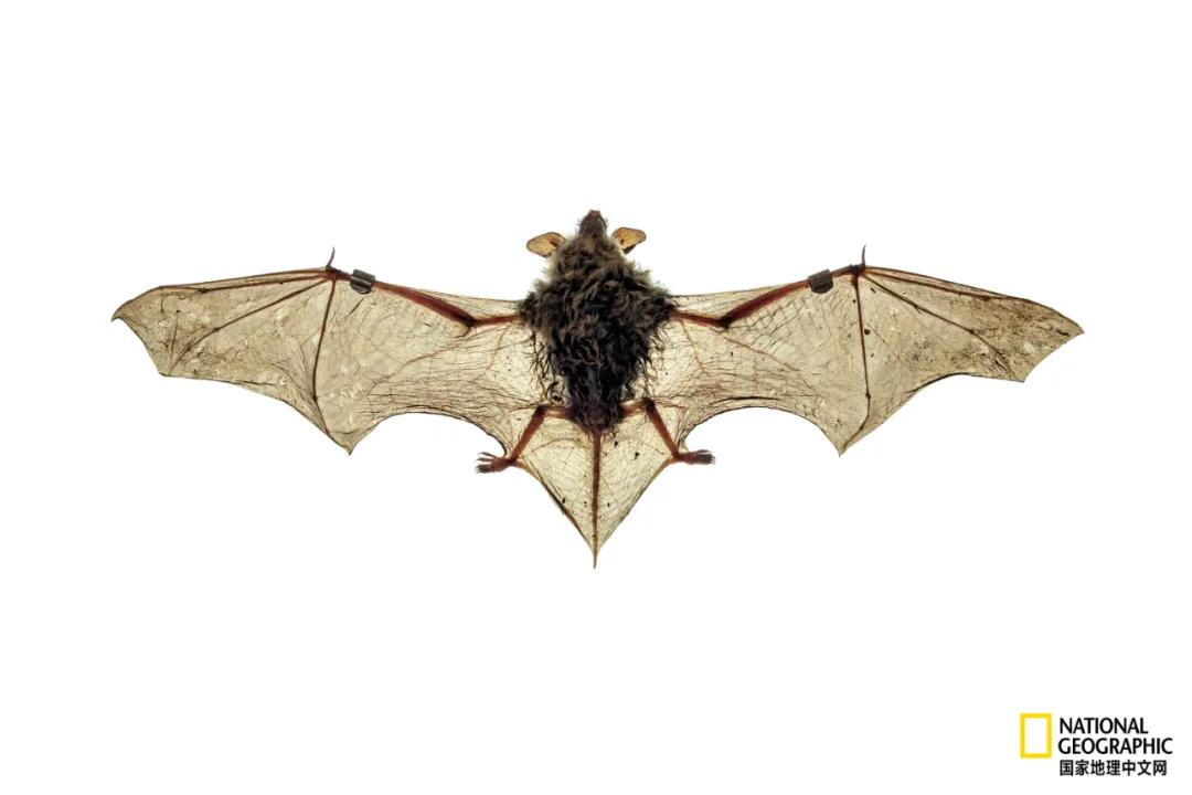 我们的地球很老了吗,地球还能再活几岁