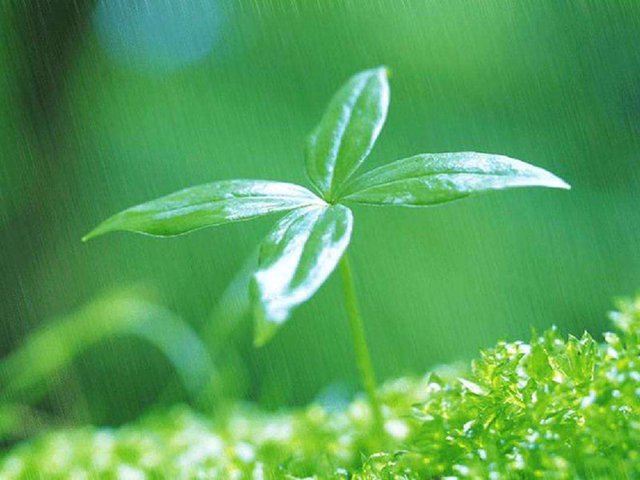 初唐四杰最著名的诗,初唐四杰及其代表诗作