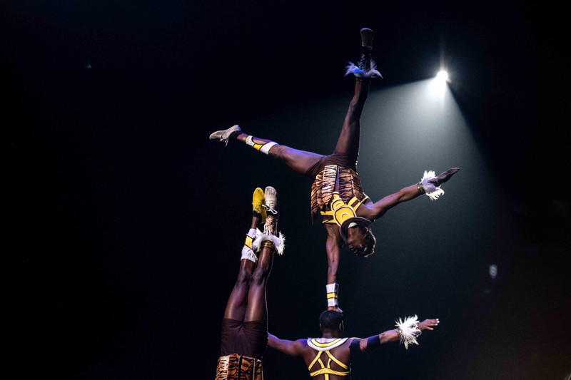 玩转广州长隆野生动物世界之行,广州长隆动物世界游玩攻略图