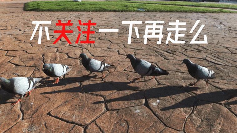 美国无良企业秀下限！居里夫人躺枪，研究成果乱用曾让人痛不欲生