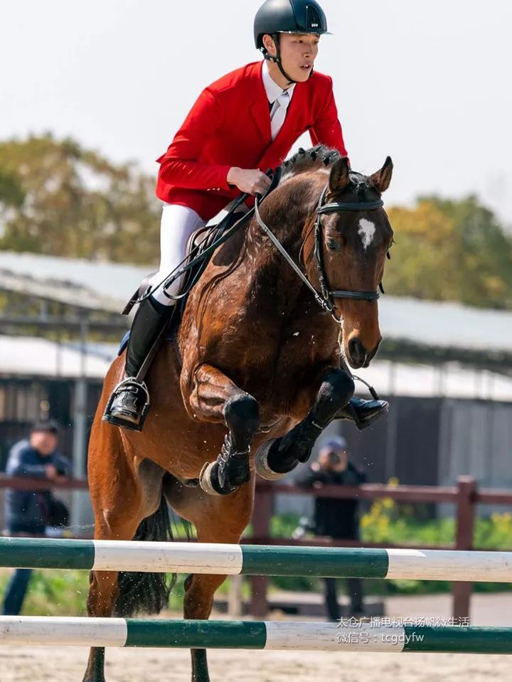 帅呆了！我们的太仓马术少年！