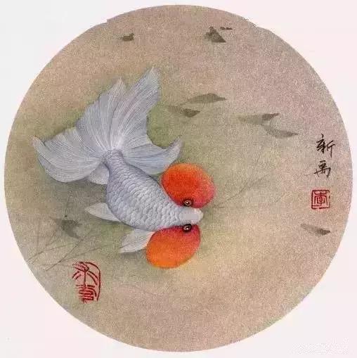 工笔金鱼团扇教学视频,工笔金鱼国画图片大全
