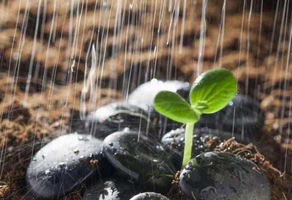 鬼谷子智慧让你做个明白人,鬼谷子处世智慧做人不要软弱