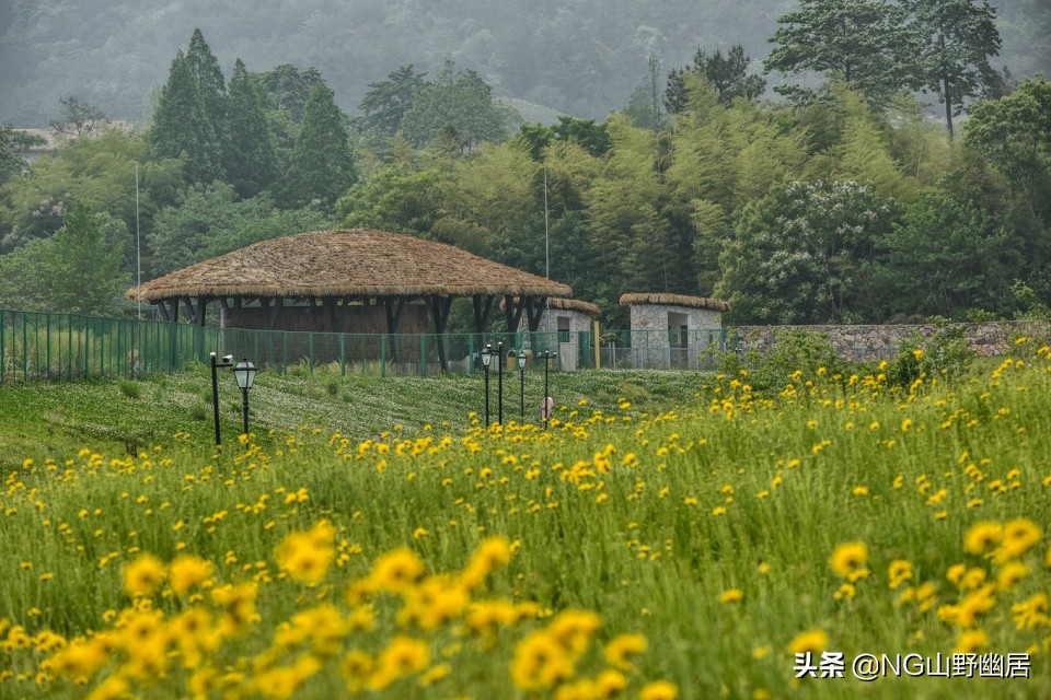 浙江湖州风景区有哪些,安吉县莫干山风景区