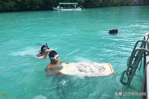 漫漫浪帕劳旅游,帕劳旅游酒店价格表