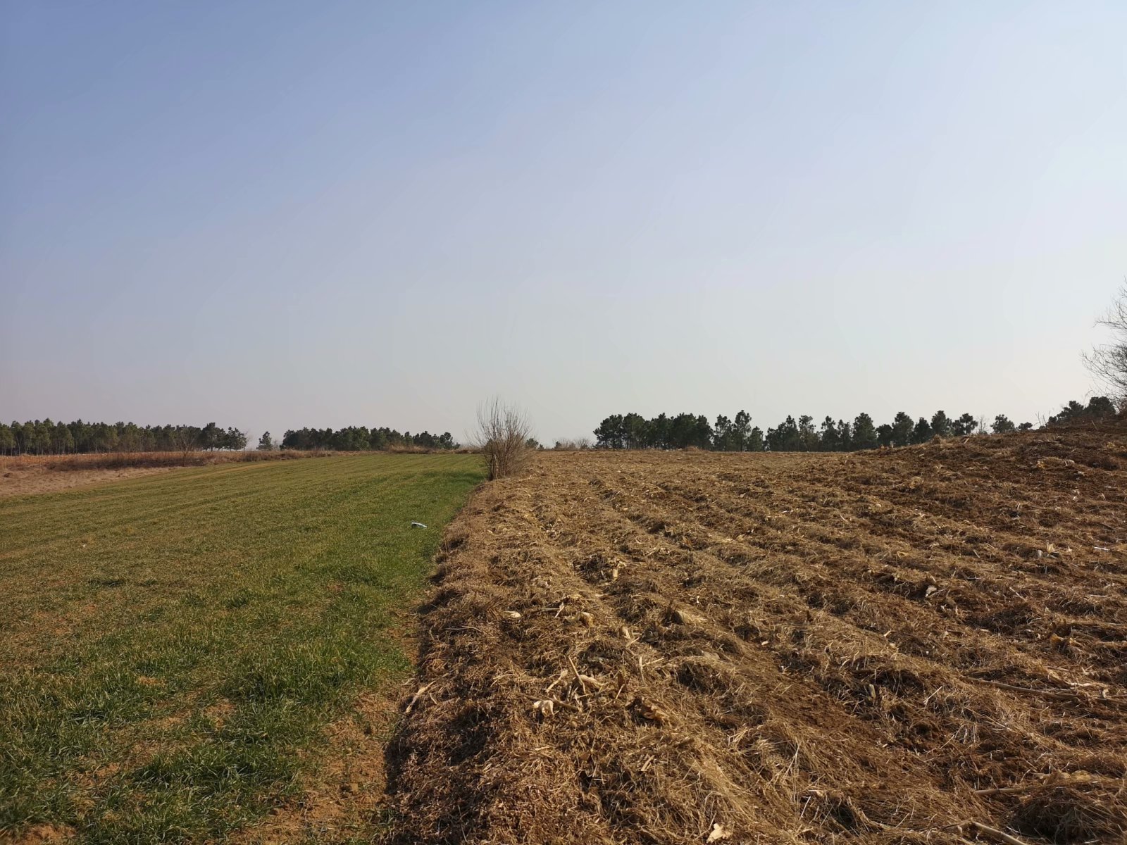 摩托附近风景,摩托打卡地附近