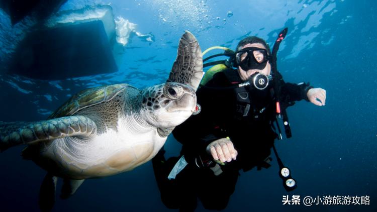 潜水小白必看,潜水圣地三天旅游攻略
