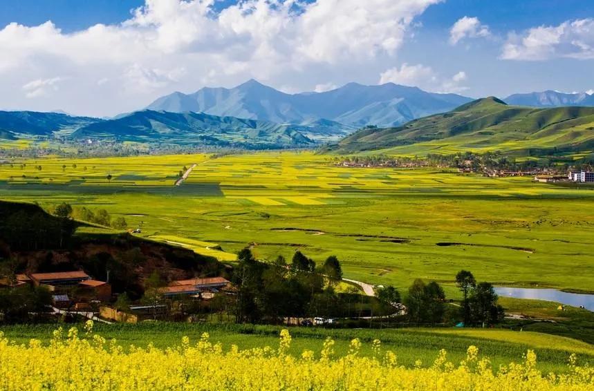 永登高氏家族,永登坪城高氏族谱字辈