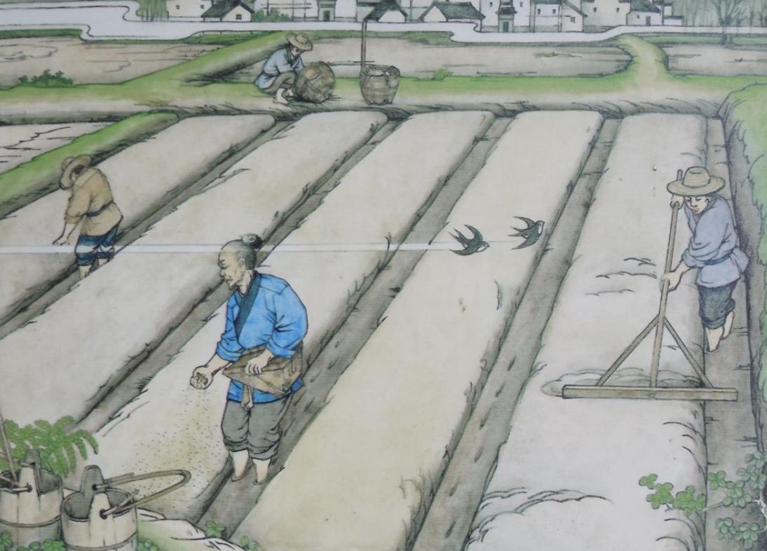 唐朝的文化与创新有哪些,唐朝土地制度