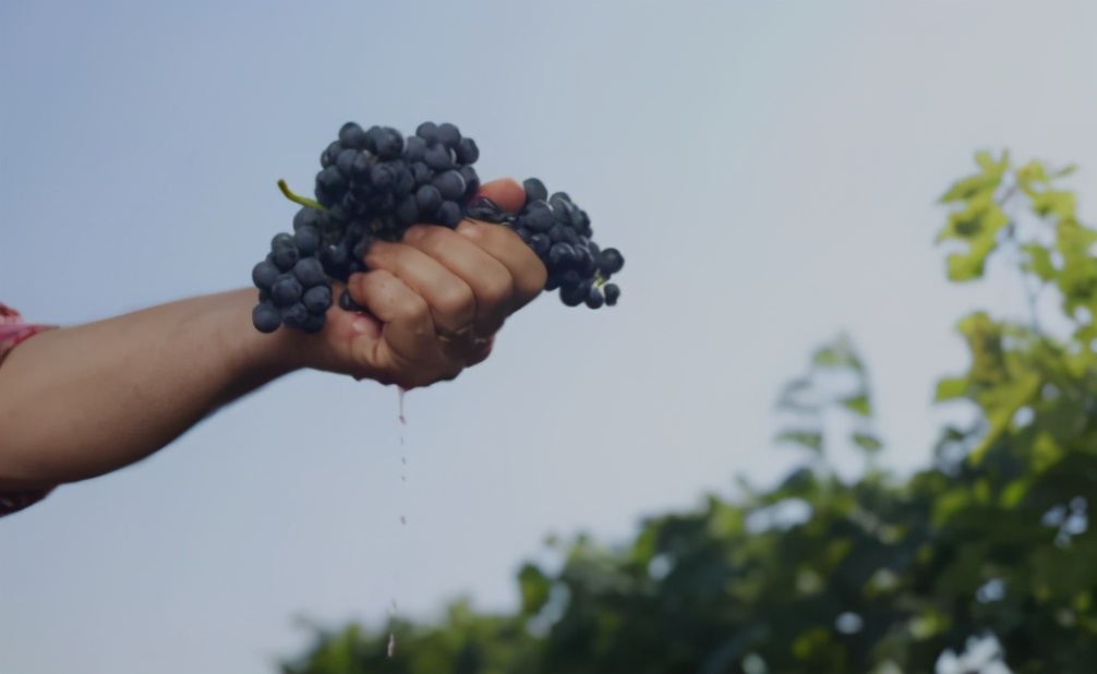 此按摩非彼按摩，硬嗑乳房按摩那些事儿