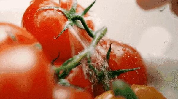 选购蔬菜的16个技巧,15种常见蔬菜的挑选窍门