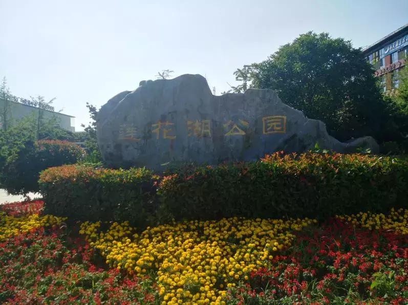 板桥为什么没有地铁,板桥地铁站附近发展