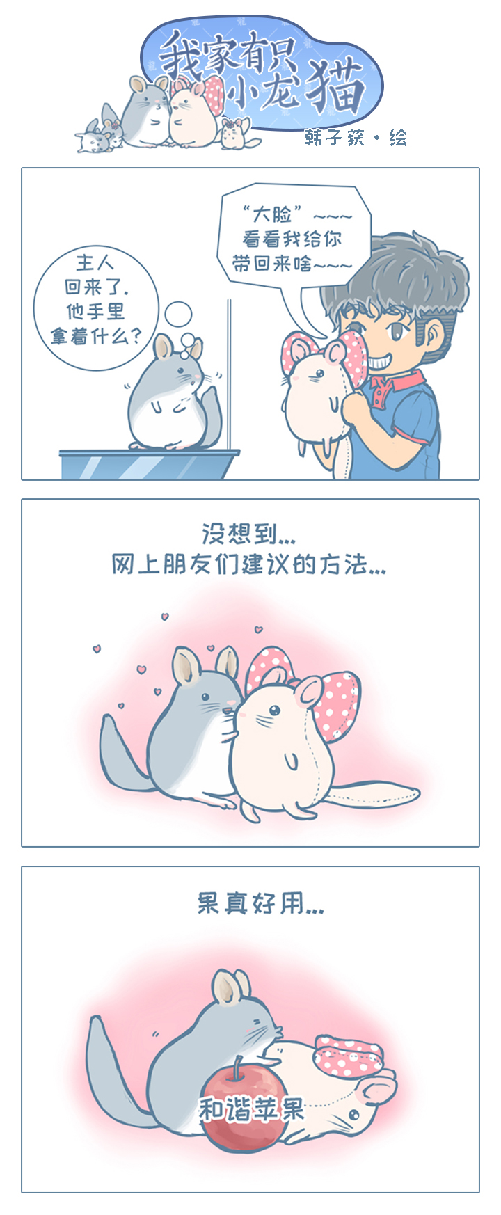 龙猫日常漫画合集,龙猫原创漫画2019