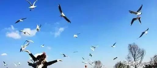 100首才华横溢的经典诗词,公认最有才华的诗