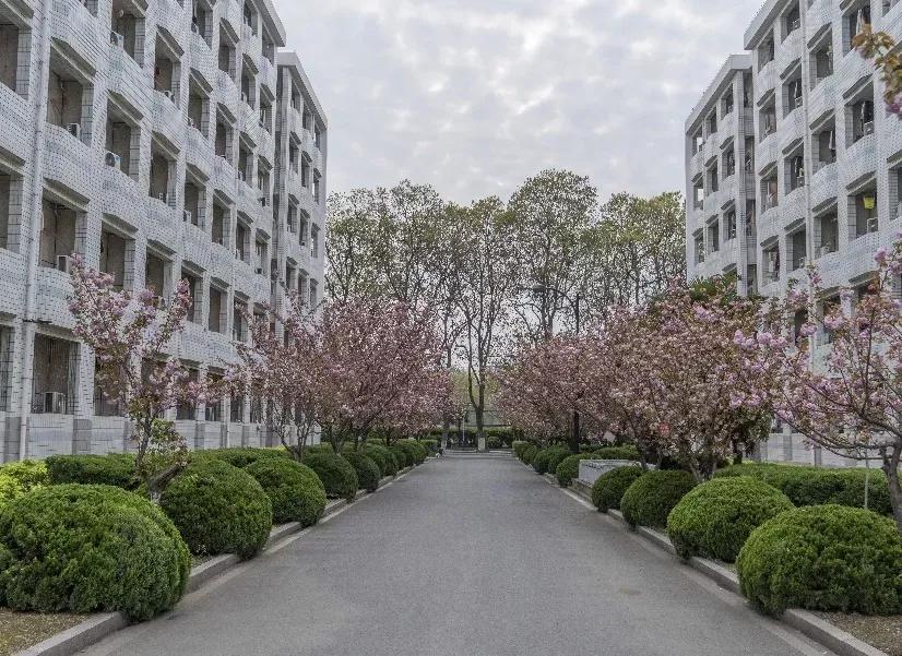 安徽省高校合肥理工,安徽省二类本科公办大学