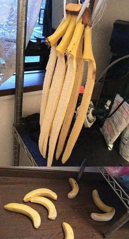 哈哈哈哈哈哈我笑到我妈把鞋塞我嘴里