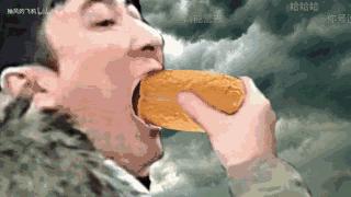 坎贝尔仓鼠和加卡利亚仓鼠,仓鼠生育的小仓鼠种类