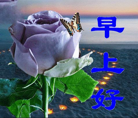 早安问候牵挂精美短句,早安问候一个人的句子