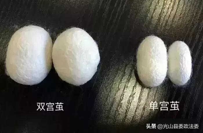 长期盖蚕丝被有什么危害 (长期盖蚕丝被被曝光)