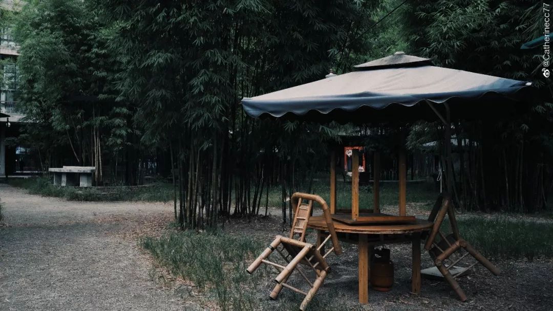 成都东二环高架桥,成都东二环高架图片