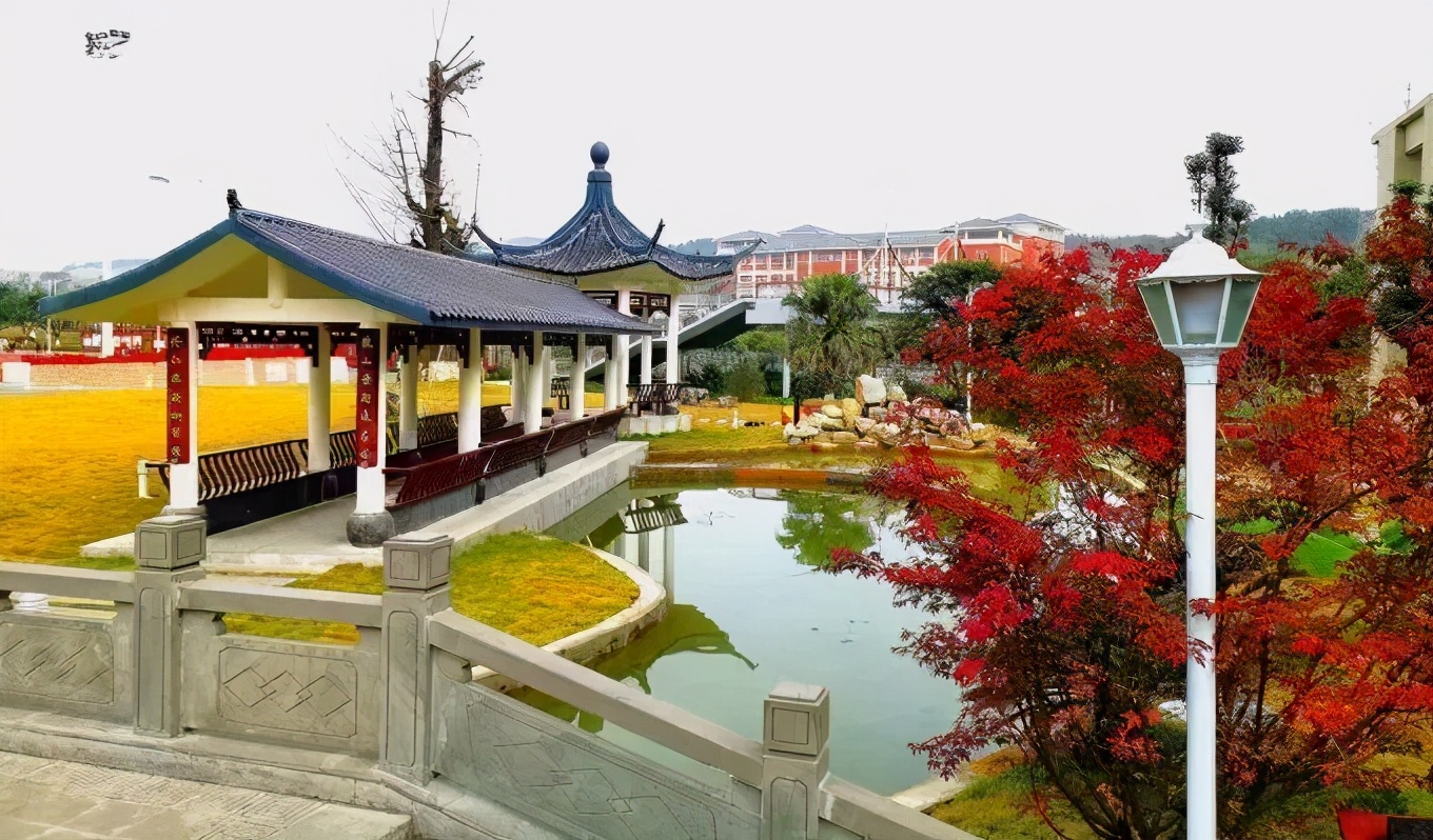 四川省排名前十的高职院校,四川医学专科院校排名前十名公办