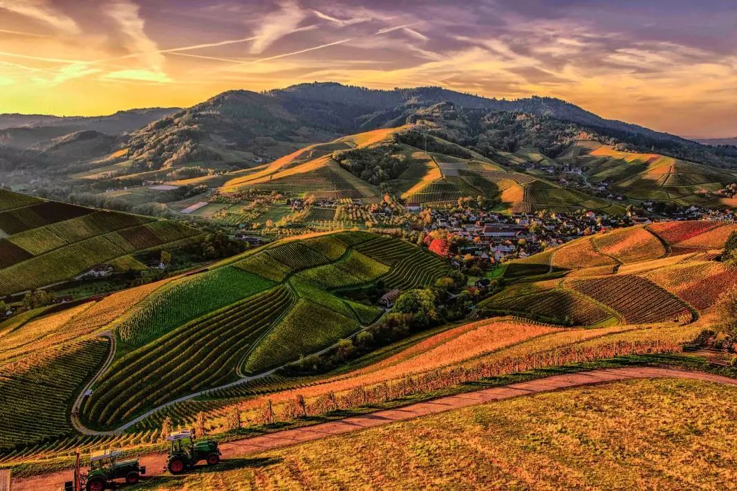 诗家咏秋 (当代诗家咏秋天第十二期)