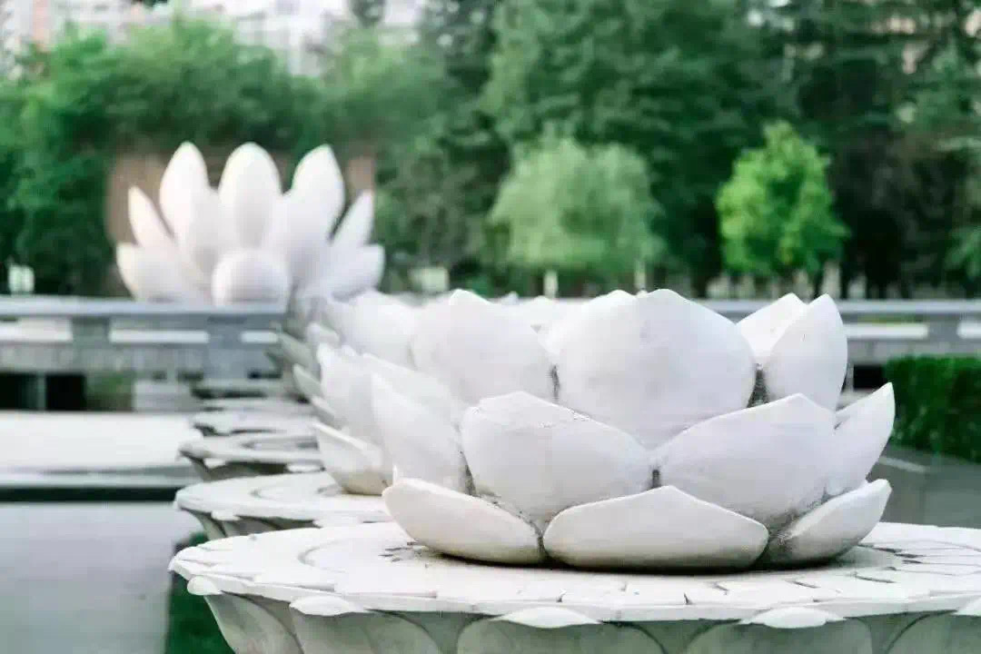 高新FUN肆嗨(九)|地铁直达!来这里开启你的“玩”美五一!