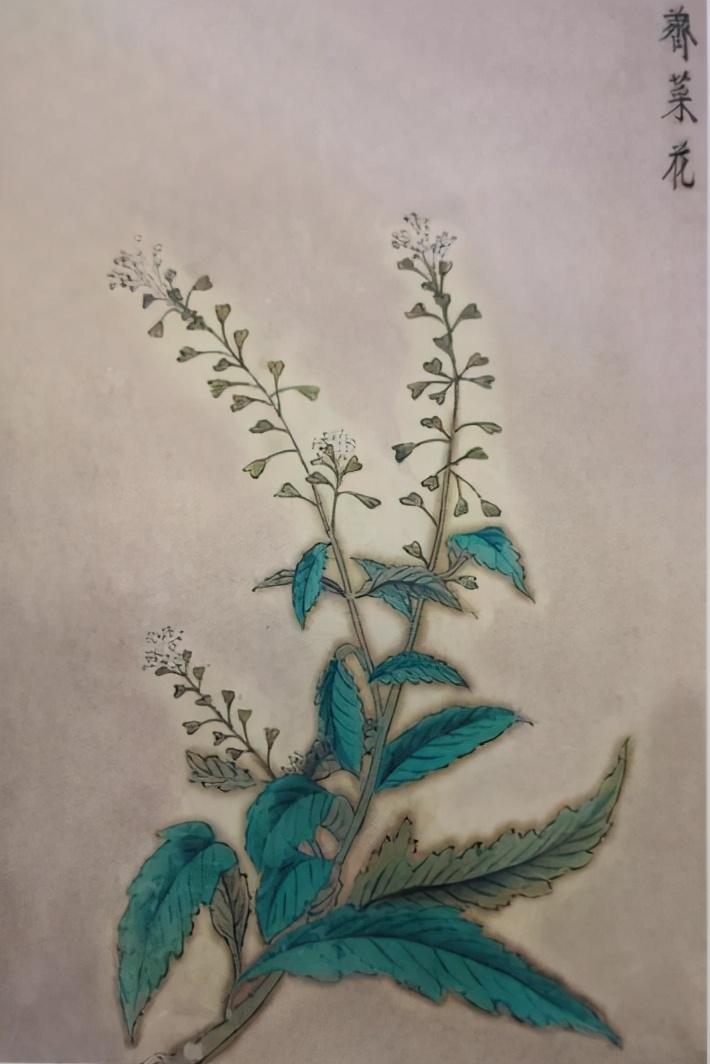 春社和立夏,春社祭祀庆典