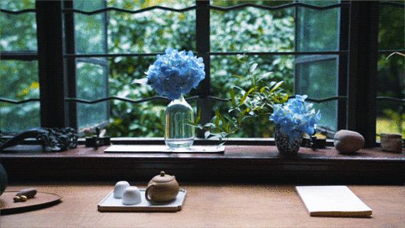 上海最贵的房子60万一平,上海租房最贵的地段