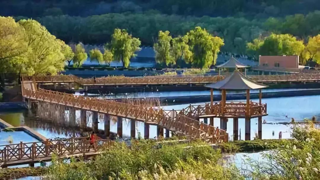 北京小众湿地公园免费,北京周边湿地公园