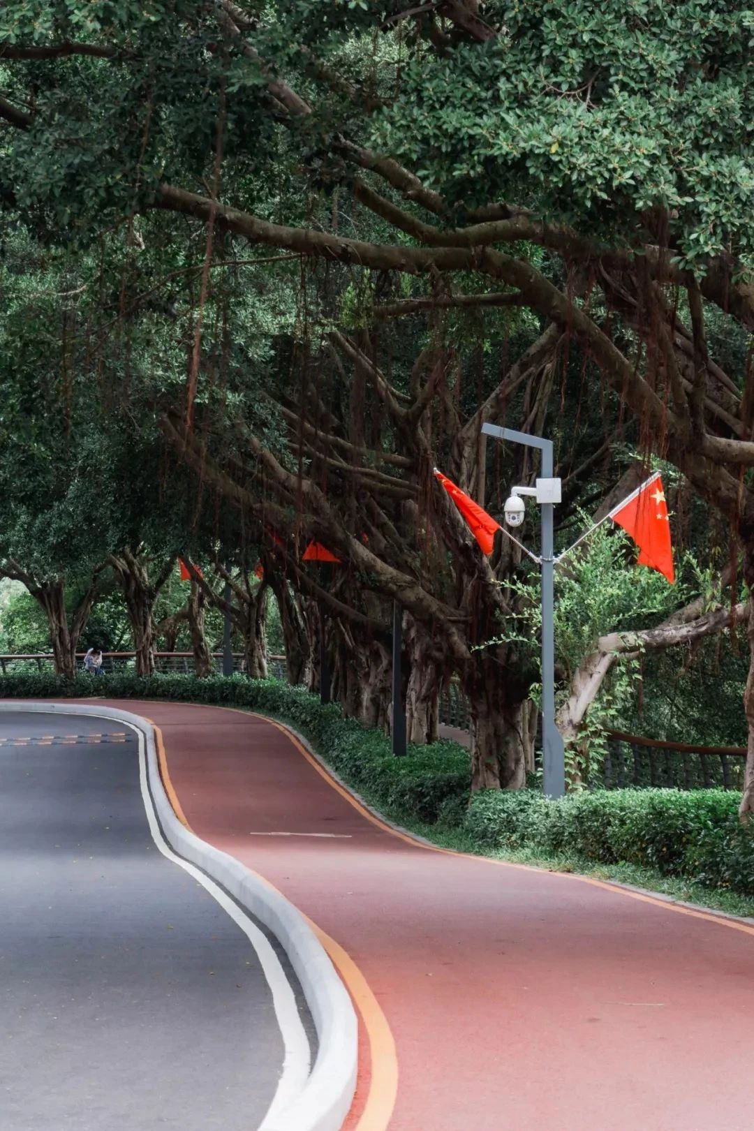 放假在深圳能去哪里玩,放假了可以去深圳的哪些地方玩