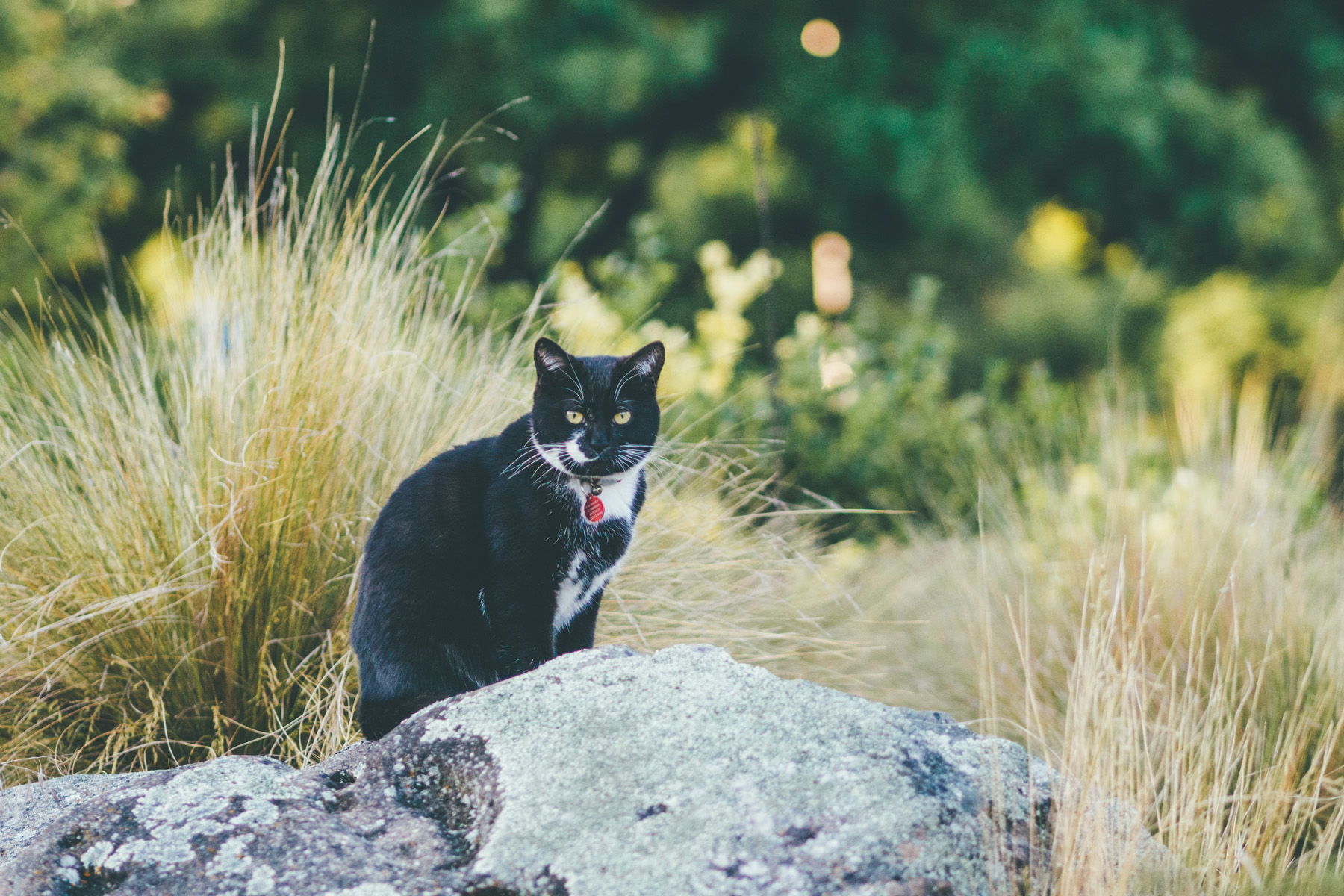 我的旅游拍摄vlog设备踩坑经验手记，平民向