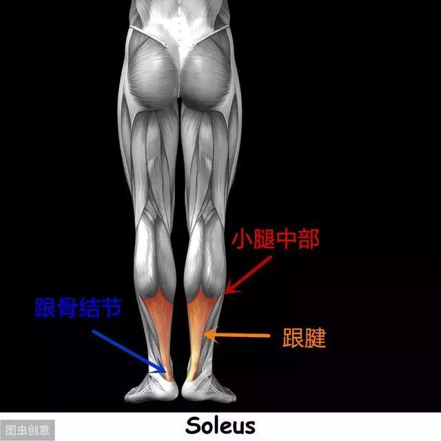 喹诺酮药物（工业合成抗生素）会引起跟腱断裂吗？