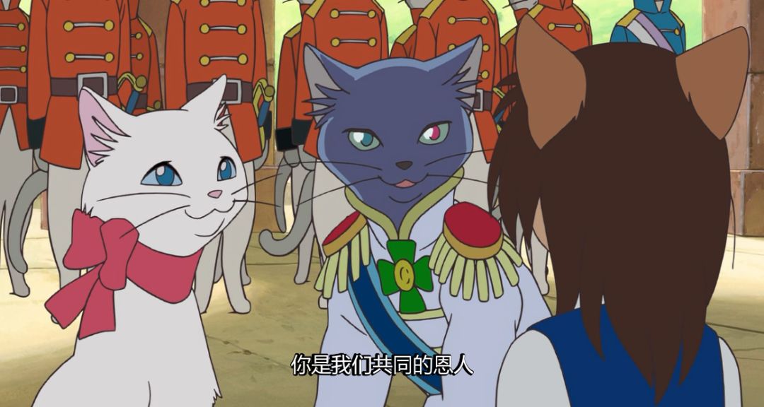 中华田园橘白猫脾气好吗,中华田园白猫配什么猫