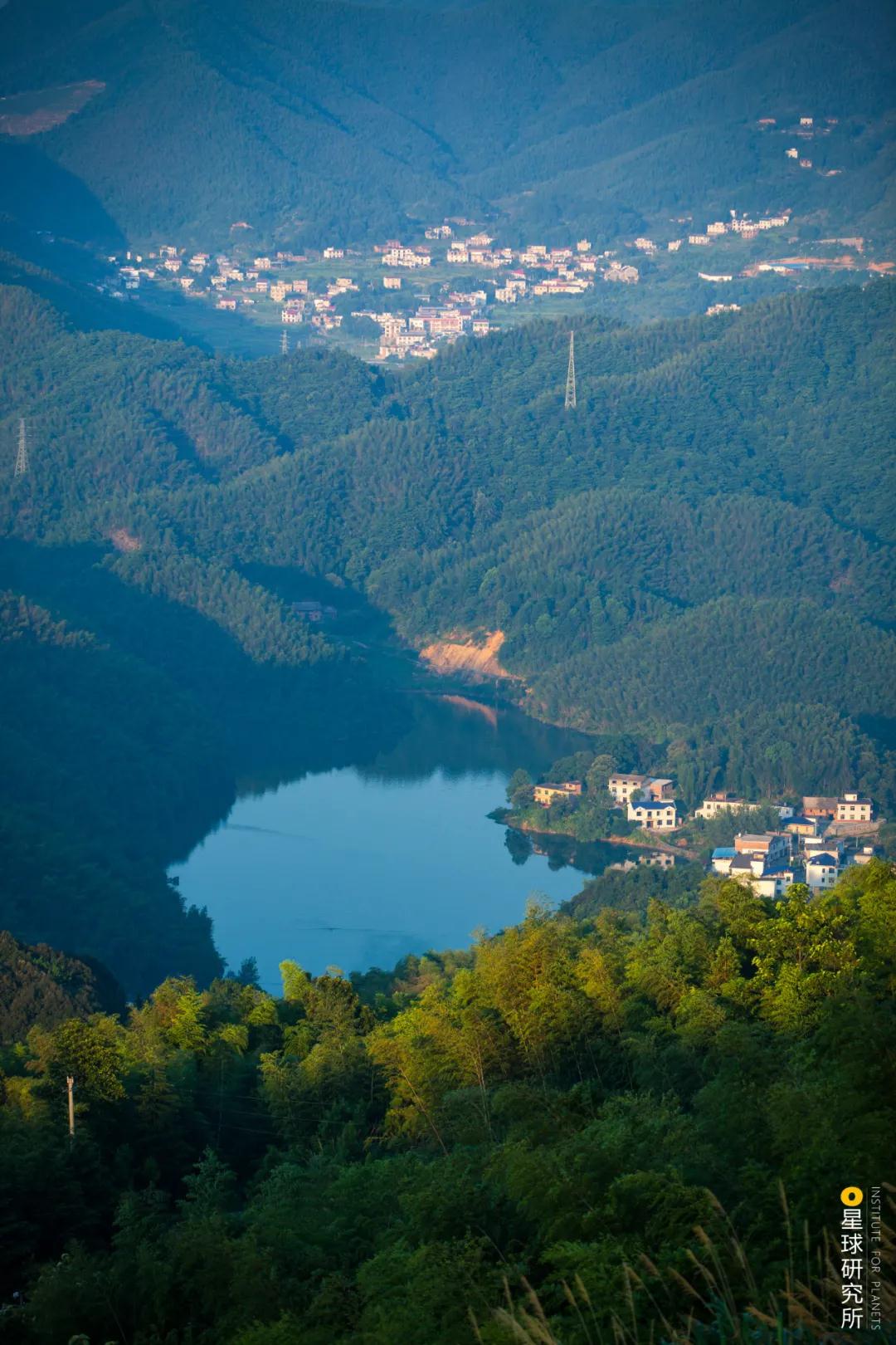 中国植树造林面积,中国植树造林成果国外有什么看法