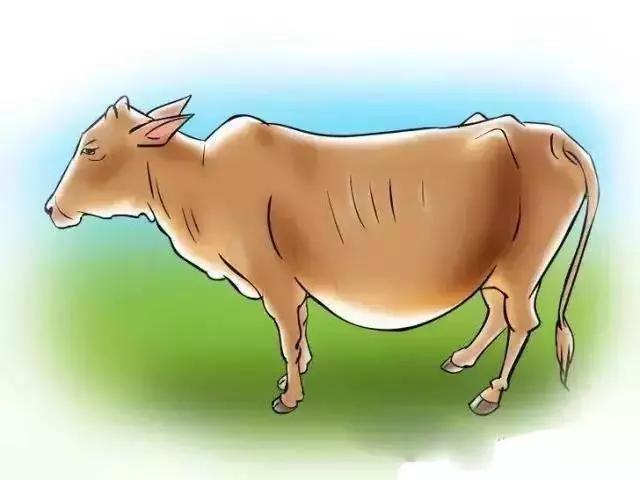 怎么辨别奶牛的奶真假,奶牛分娩前有哪些征兆