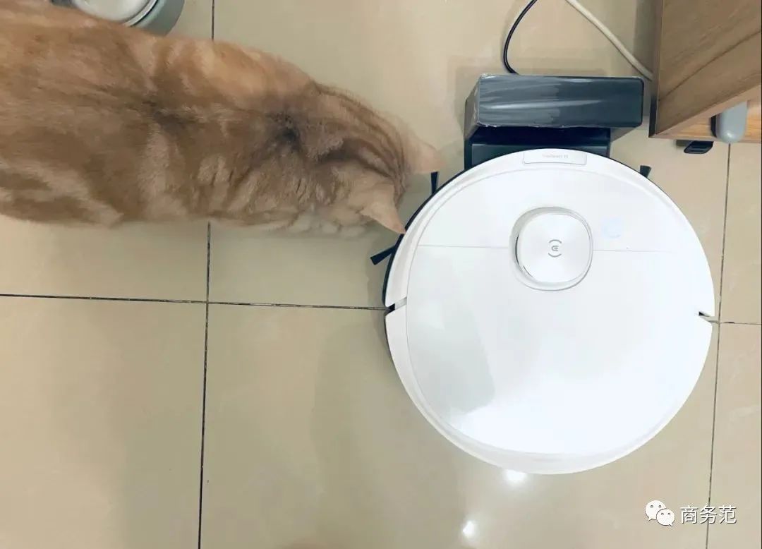 你都买过哪些超值好物,今年最值得错过的好物推荐